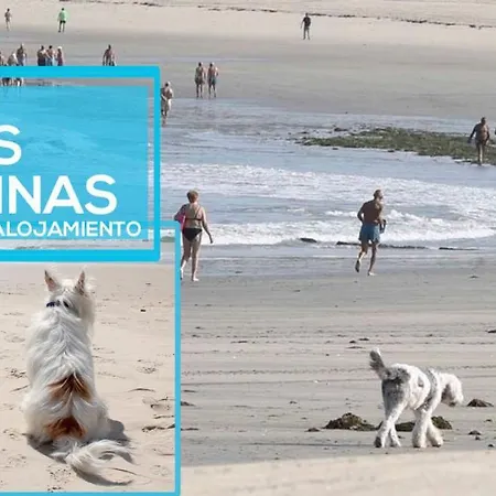 Casajardin Rokekris ヴィーゴ